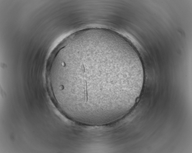 X0000090620902200708071222