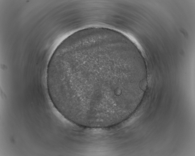 X0000090620903200708071222