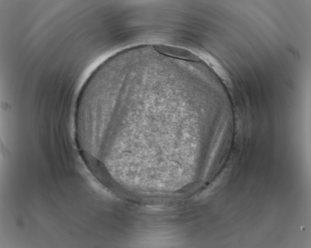 X0000090620904200708071222