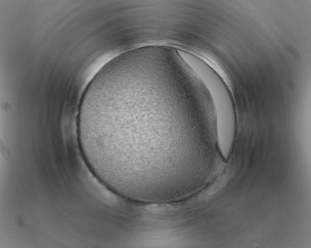 X0000090620906200708071222