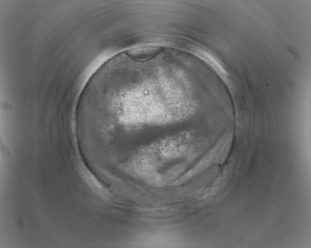 X0000090620907200708071222