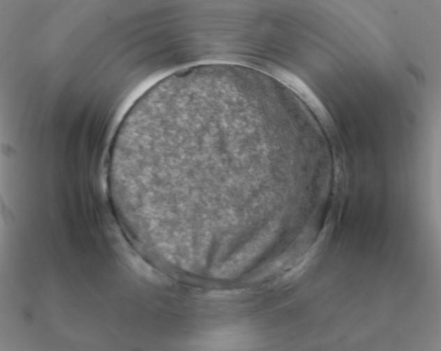 X0000090620908200708071222