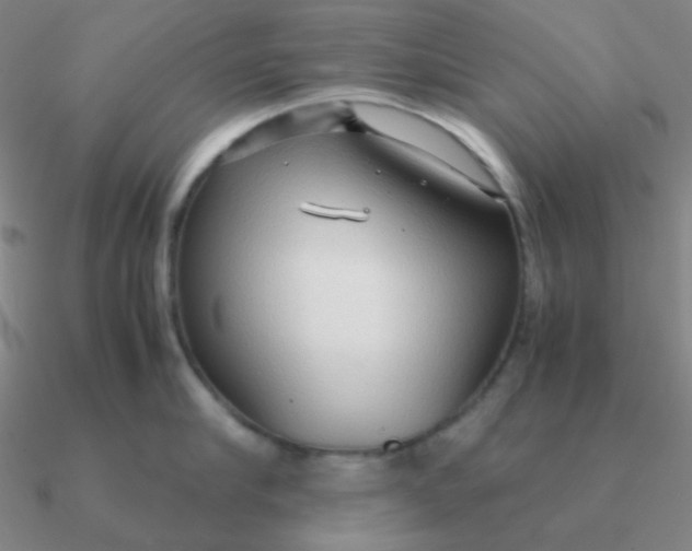 X0000090620910200708071222