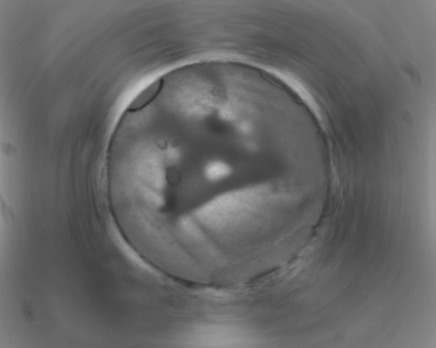 X0000090620911200708071222