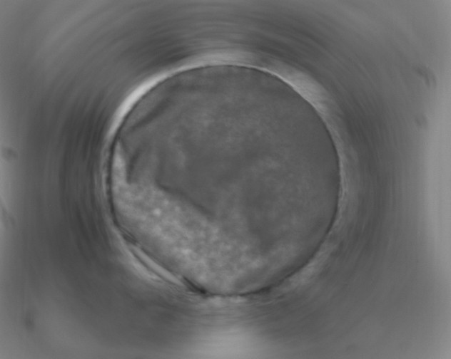 X0000090620912200708071222