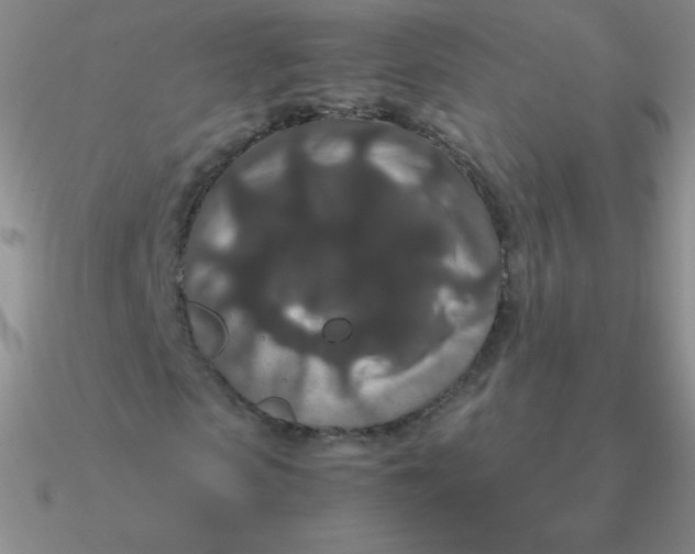 X0000090620913200708071221