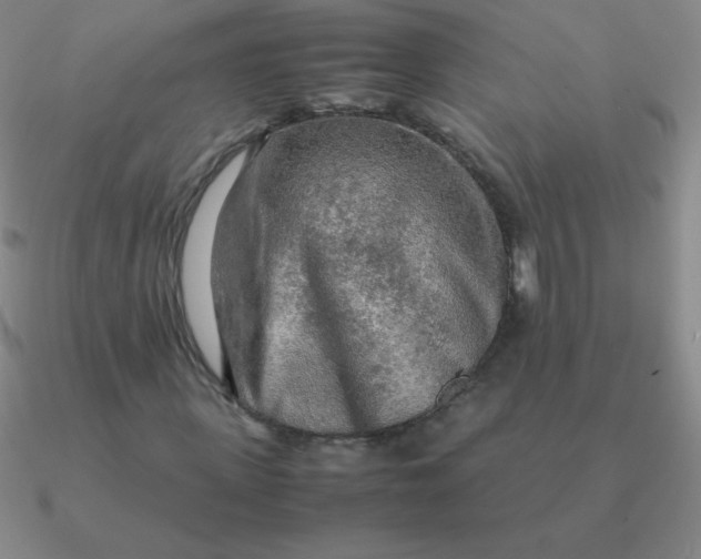 X0000090620915200708071221