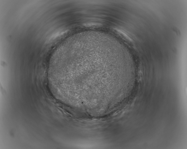 X0000090620917200708071221