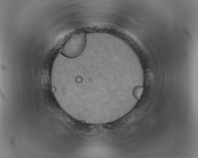 X0000090620918200708071221