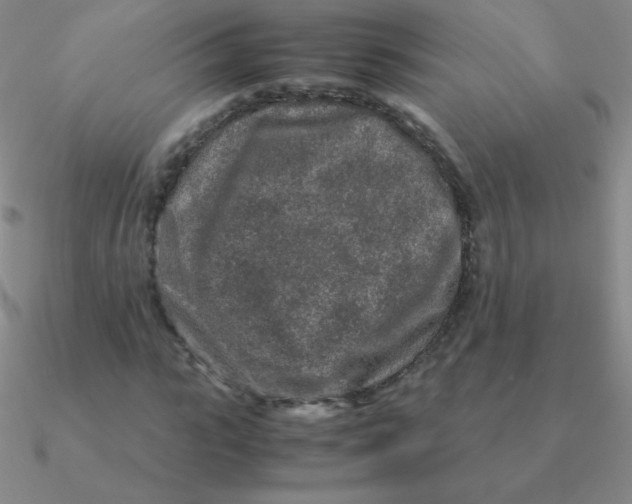 X0000090620919200708071221