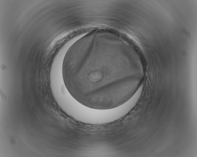 X0000090620920200708071221