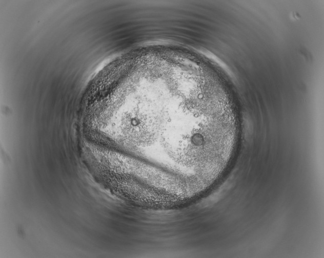 X0000090620921200708071221