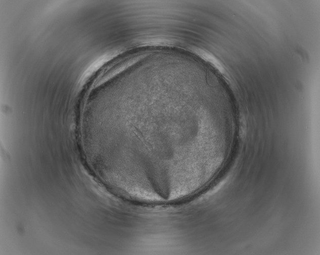 X0000090620922200708071221