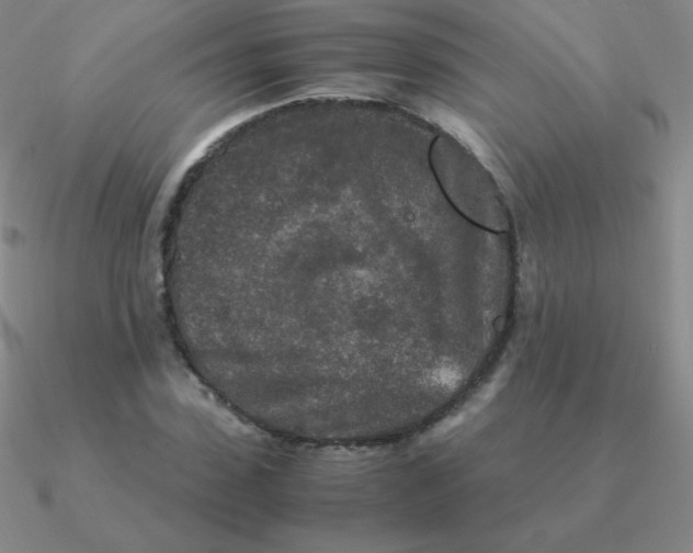 X0000090620923200708071221