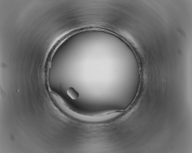 X0000090620924200708071221