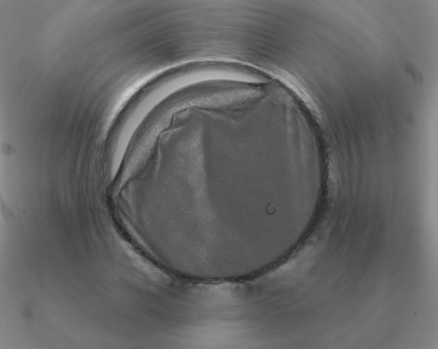 X0000090620926200708071221