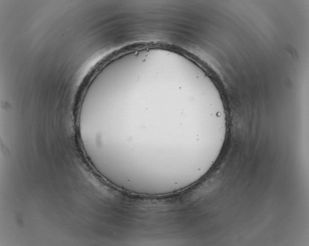 X0000090620927200708071221