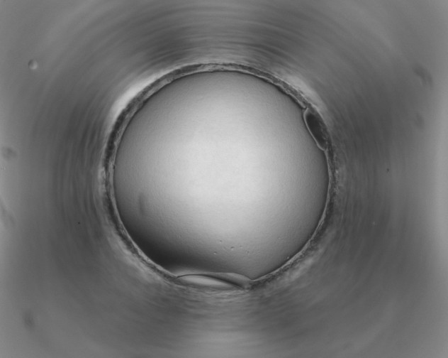 X0000090620928200708071221