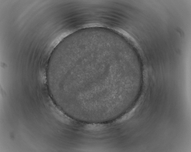 X0000090620929200708071221