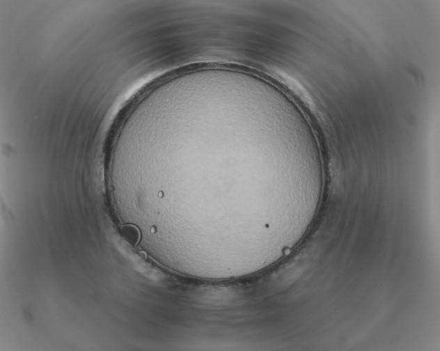 X0000090620931200708071221