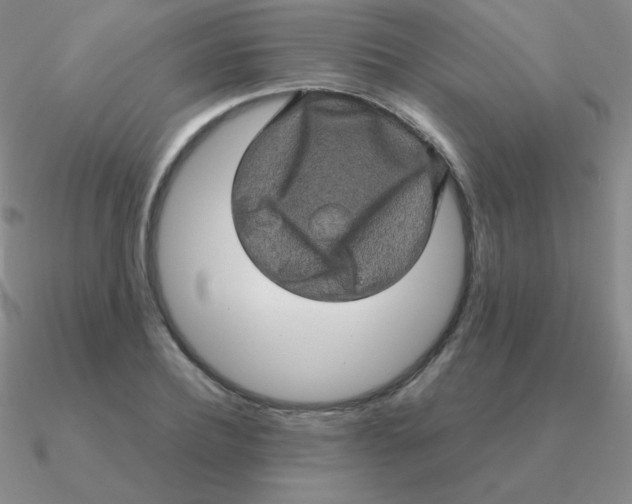 X0000090620932200708071221