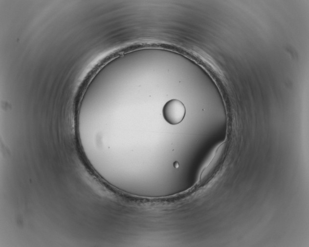 X0000090620934200708071221