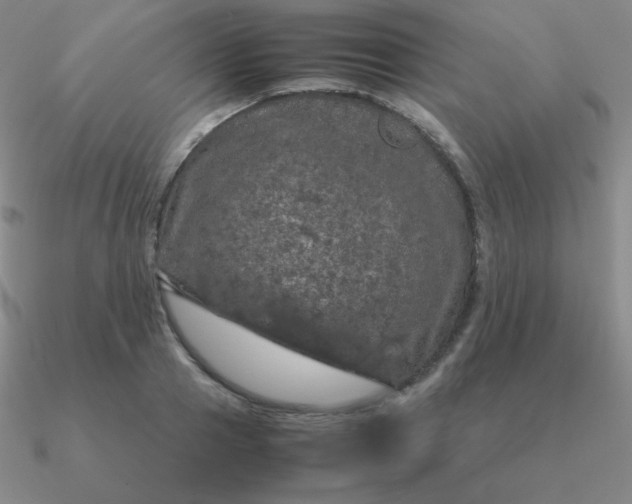 X0000090620937200708071221