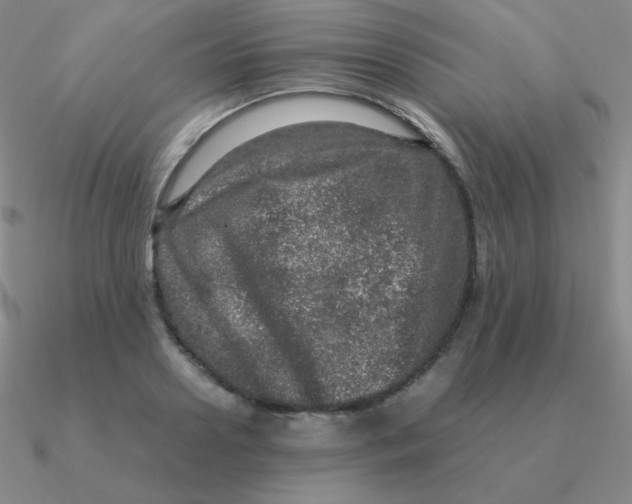 X0000090620938200708071221