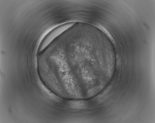 X0000090620939200708071222