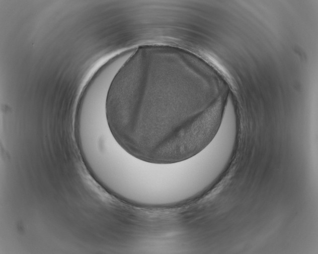 X0000090620940200708071222