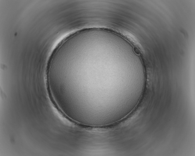 X0000090620942200708071222