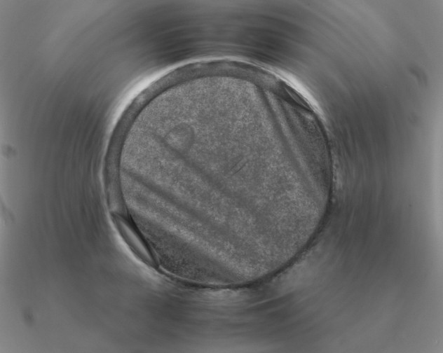 X0000090620943200708071222