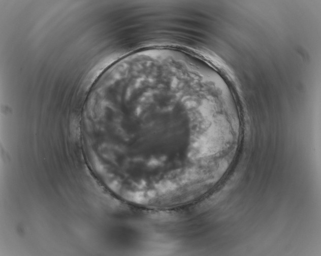 X0000090620945200708071222