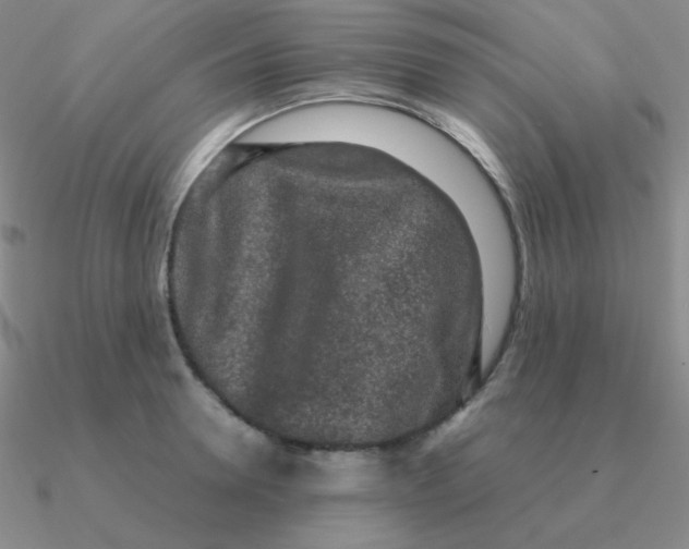 X0000090620946200708071222