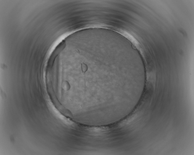 X0000090620947200708071222