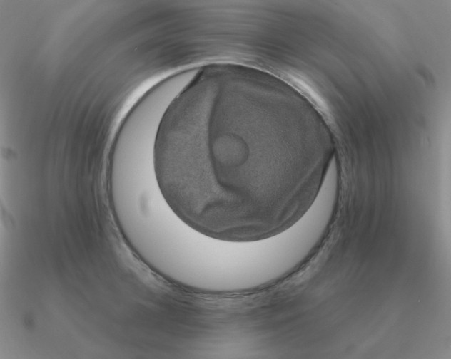 X0000090620948200708071222