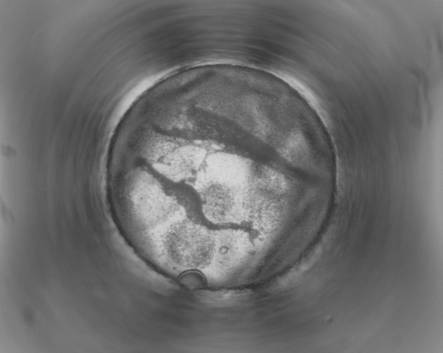 X0000090620949200708071222