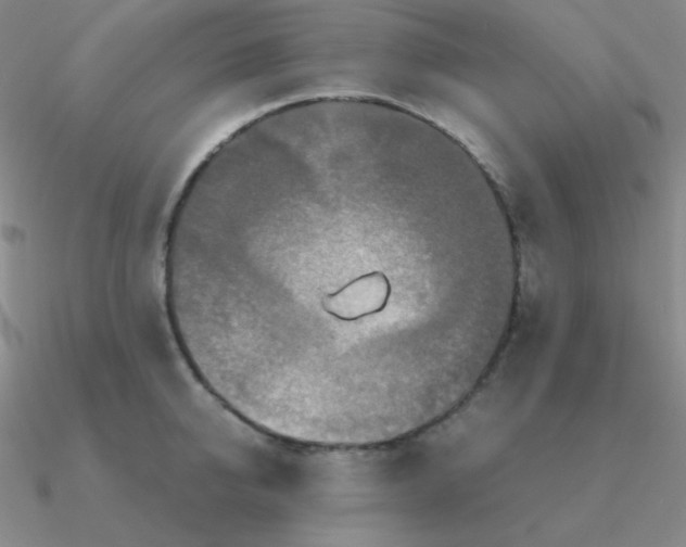 X0000090620950200708071222