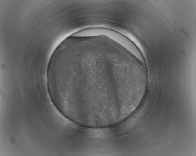 X0000090620951200708071222