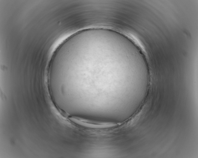 X0000090620952200708071222