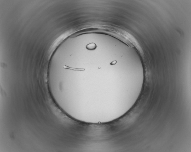 X0000090620954200708071222