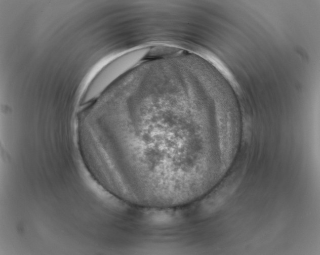 X0000090620955200708071222