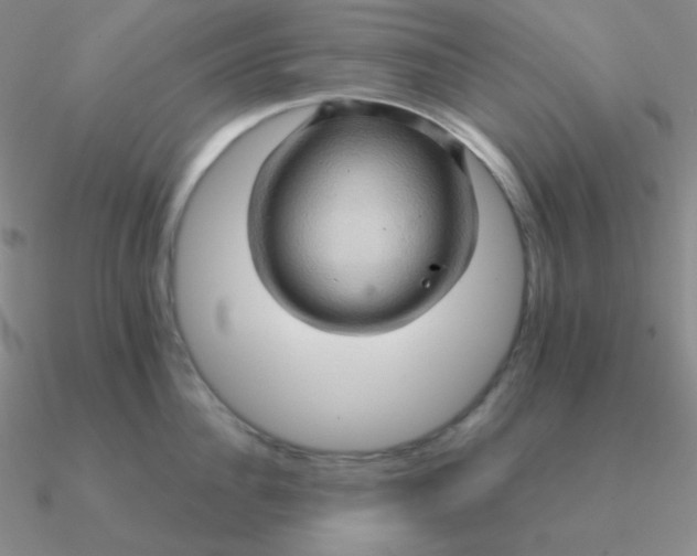 X0000090620956200708071222