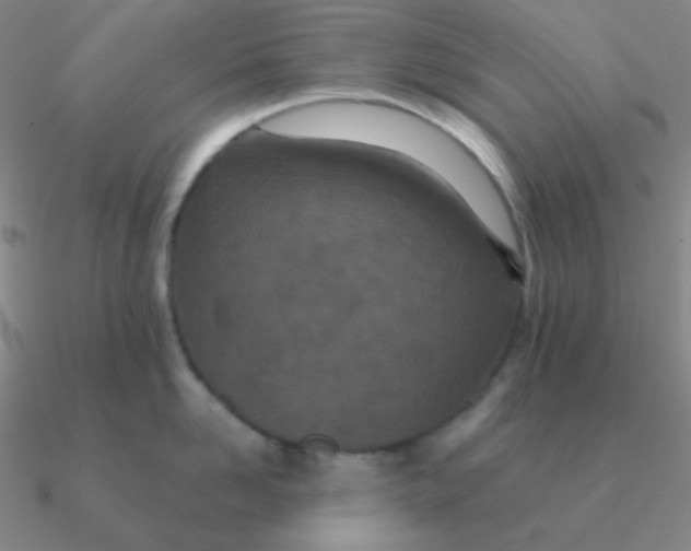 X0000090620958200708071222