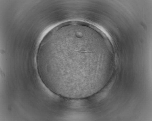 X0000090620959200708071222