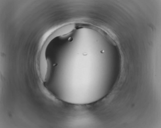 X0000090620960200708071222