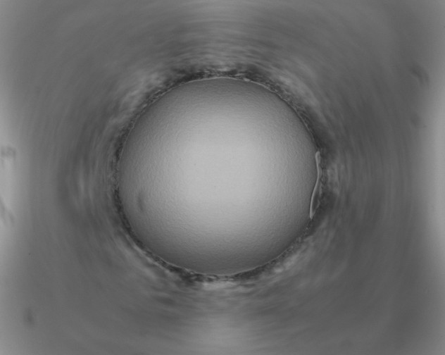 X0000090620961200708071221