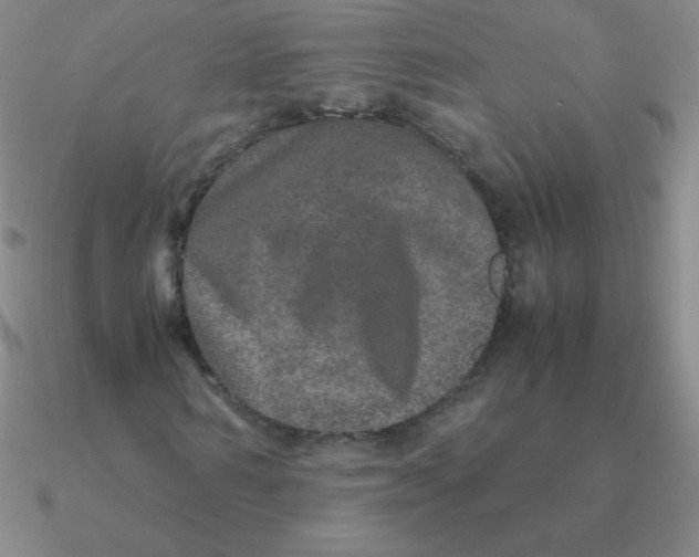 X0000090620962200708071221