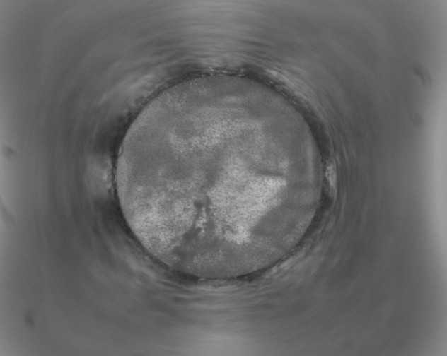 X0000090620963200708071221