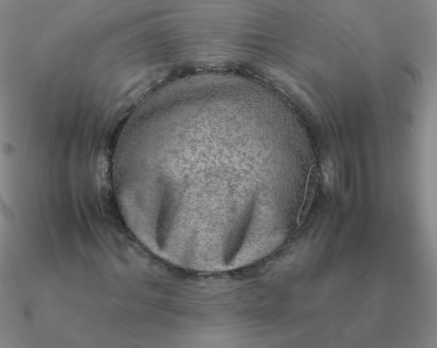 X0000090620964200708071221